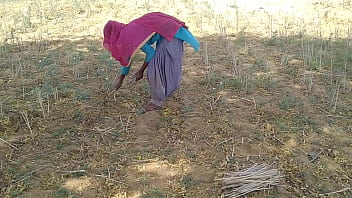 देसी इंडियन ब्वॉयफ्रेंड ने खेत में काम करती हुई उसकी गर्म बॉडी को चोदा
