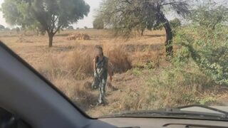 A Traveler’s Raw And Steamy Encounter With A Desi Whore In An Indian Blue Film