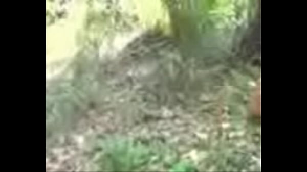 Desi 3gp: Hot New Desi 3gp Videos