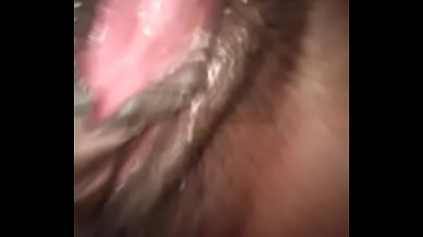 My Horny Wife’s Wild Ride Continues
