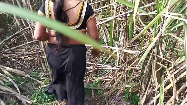 Desi Stepmom Gets Nailed In The Sugarcane Field