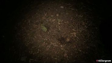 Killergram – Slutty Filth Takes On A Dogging Mission, Getting Every Random Cock In A Wild Outdoor Fuckfest